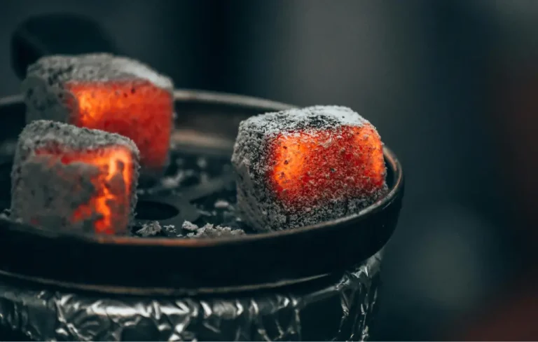 Charbons naturels vs auto-allumants