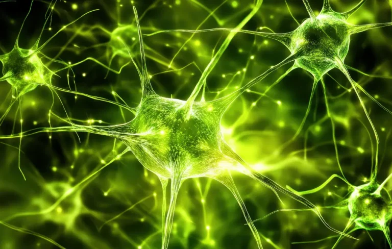 L'impact du CBD sur les neurones